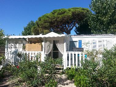 Chalet in ramatuelle (Var) or holiday homes and vacation rentals