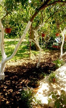 Holiday Apartment in Tivat (Montenegro) or holiday homes and vacation rentals