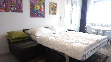 Holiday Apartment in Bad Kissingen (Lower Franconia) or holiday homes and vacation rentals