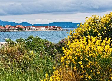 Holiday House in Bibinje (Zadarska) or holiday homes and vacation rentals