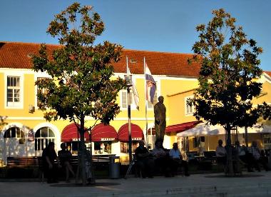 Holiday House in Bibinje (Zadarska) or holiday homes and vacation rentals