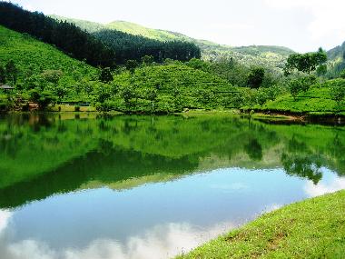 Villa in matara (Matara) or holiday homes and vacation rentals