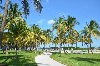 Holiday House in Port Richey (Florida) or holiday homes and vacation rentals
