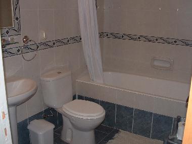 bathroom with shower over bath