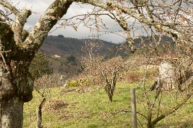 Holiday House in saint jean chambre (Ard�che) or holiday homes and vacation rentals