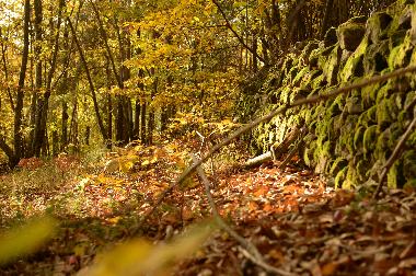 Holiday House in saint jean chambre (Ard�che) or holiday homes and vacation rentals