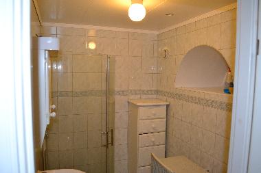 Small Bathroom with wc, shower