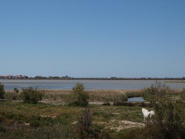 Holiday House in Les Saintes Maries de la Mer (Bouches-du-Rh�ne) or holiday homes and vacation rentals