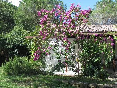 Holiday House in Pieve di Chio (Arezzo) or holiday homes and vacation rentals