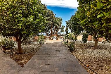 Holiday Apartment in Arona (Teneriffa) or holiday homes and vacation rentals