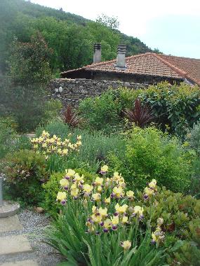 Holiday Apartment in dolceacqua (Imperia) or holiday homes and vacation rentals