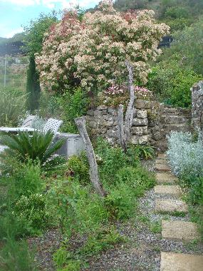 Holiday Apartment in dolceacqua (Imperia) or holiday homes and vacation rentals