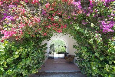 Bed and Breakfast in Vernole (Lecce) or holiday homes and vacation rentals