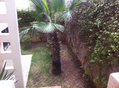 Villa in Agadir (Agadir) or holiday homes and vacation rentals