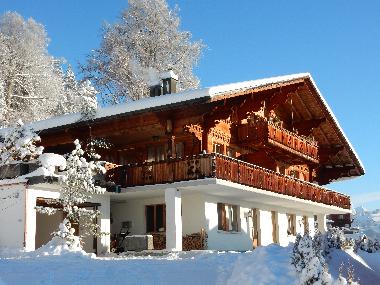 Holiday Apartment in Beatenberg (Beatenberg) or holiday homes and vacation rentals