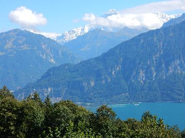 Holiday Apartment in Beatenberg (Beatenberg) or holiday homes and vacation rentals