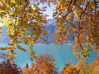 Holiday Apartment in Beatenberg (Beatenberg) or holiday homes and vacation rentals