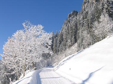 Holiday Apartment in Beatenberg (Beatenberg) or holiday homes and vacation rentals