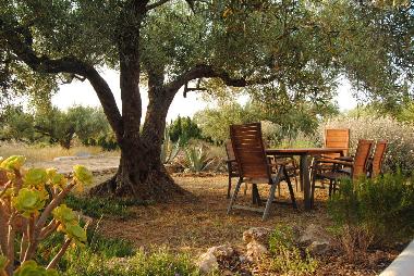 Holiday Apartment in L'Ampolla (Tarragona) or holiday homes and vacation rentals