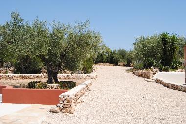 Holiday Apartment in L'Ampolla (Tarragona) or holiday homes and vacation rentals