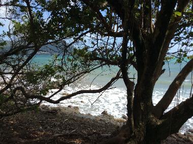 Holiday Apartment in Sainte Luce  (Martinique) or holiday homes and vacation rentals