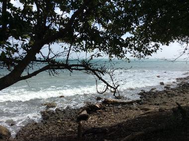 Holiday Apartment in Sainte Luce  (Martinique) or holiday homes and vacation rentals