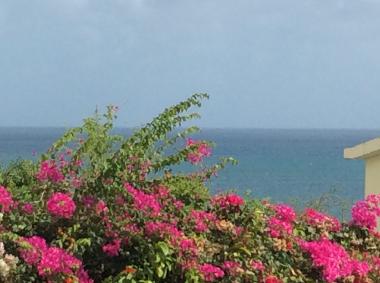 Holiday Apartment in Sainte Luce  (Martinique) or holiday homes and vacation rentals