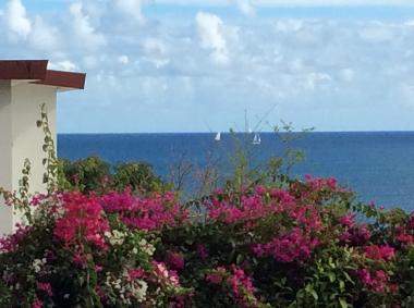 Holiday Apartment in Sainte Luce  (Martinique) or holiday homes and vacation rentals