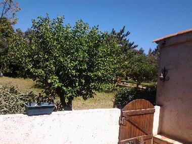 Holiday House in pianottoli-caldarello (Corse-du-Sud) or holiday homes and vacation rentals