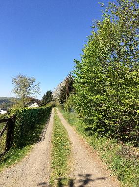 Holiday House in Biedenkopf (Marburg-Biedenkopf) or holiday homes and vacation rentals
