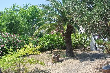 Holiday House in stromboli (Messina) or holiday homes and vacation rentals