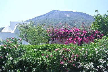 Holiday House in stromboli (Messina) or holiday homes and vacation rentals