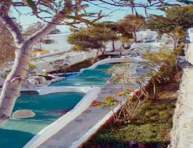 The "crazy American" Mini golf