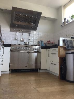 Villa in Den Haag (Zuid-Holland) or holiday homes and vacation rentals
