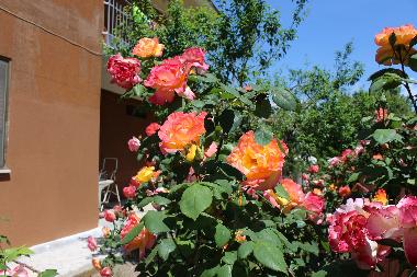 Holiday House in Santi cosma e damiano  (Latina) or holiday homes and vacation rentals
