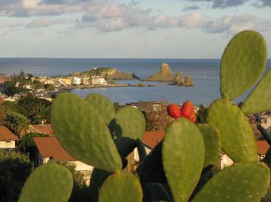 Villa in acireale (Catania) or holiday homes and vacation rentals