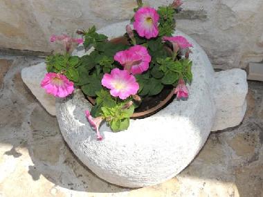 Holiday House in Racisce (Dubrovacko-Neretvanska) or holiday homes and vacation rentals