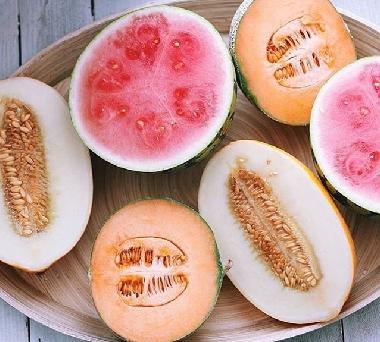 Bed and Breakfast in Bol (Splitsko-Dalmatinska) or holiday homes and vacation rentals