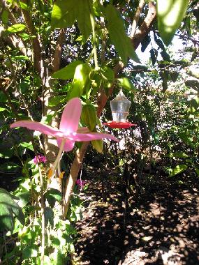 Holiday Apartment in Ibarra (Imbabura) or holiday homes and vacation rentals