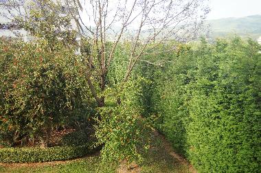 Holiday Apartment in Kalamata (Messinia) or holiday homes and vacation rentals