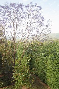 Holiday Apartment in Kalamata (Messinia) or holiday homes and vacation rentals