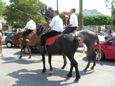 Holiday Apartment in Irgoli (Nuoro) or holiday homes and vacation rentals