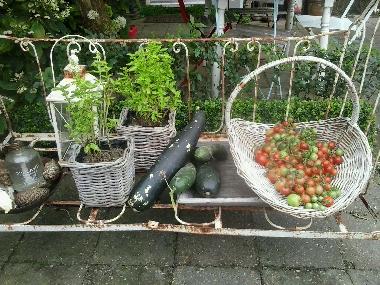 Holiday Apartment in Vrouwenpolder (Zeeland) or holiday homes and vacation rentals