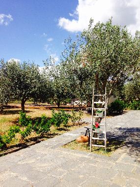 Holiday Apartment in Scordia (Catania) or holiday homes and vacation rentals