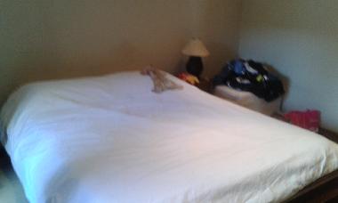 Holiday House in Grand Baie (Riviere du Rempart) or holiday homes and vacation rentals