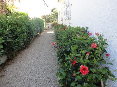Holiday House in miami playa (Tarragona) or holiday homes and vacation rentals