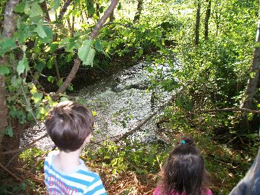 Holiday House in LES JUNIES (FRANCE) (Lot) or holiday homes and vacation rentals