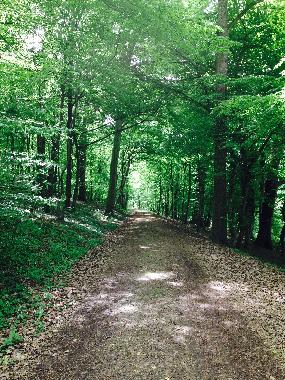 Holiday Apartment in Lahr -Sulz (Black Forest) or holiday homes and vacation rentals