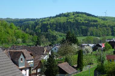 Holiday Apartment in Lahr -Sulz (Black Forest) or holiday homes and vacation rentals