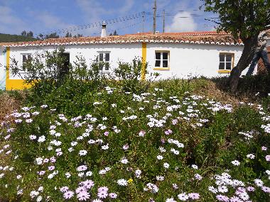 Holiday House in Baiona (Alentejo Litoral) or holiday homes and vacation rentals